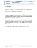 Riesgos Legales Programas Informáticos