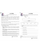 La cultura. En sentido lato del termino cultura significa “cultivo”