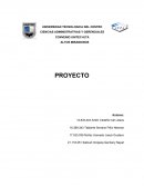 Plan de producción de hortalizas de la empresa Agrohortalizas Altos Mirandinos 3050 C.A