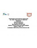 PROYECTO PARA NIÑOS CON NECESIDADES DE APRENDIZAJES