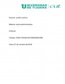 TAREA A RESOLVER. ORGANIZACIÓN