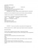 Propuesta del Proyecto	Descripción del Proyecto junto con un alcance para poder lograr una meta