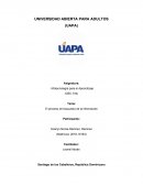 El proceso de búsqueda de la información