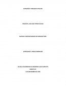 EXTRUSION Y FORJADO DE POLVOS