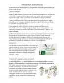 ORGANISMOS TRANSGENICOS