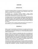 HUMANISMO. DESARROLLO