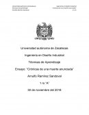 Ensayo: “Crónicas de una muerte anunciada”