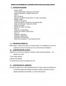 MODELO DE INFORME DE LA PRUEBA PSICOLOGICA APLICADA