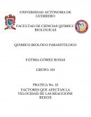 Factores que efectuan la velocidad de las reacciones redox