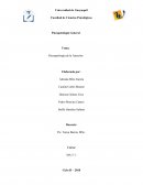 PSICOPATOLOGIA DE LA ATENCION