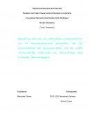 Hacinamiento familiar