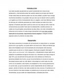 Ensayo redes sociales. El mundo antes de las redes sociales e internet