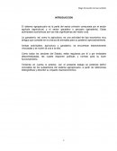 EL SECTOR AGROPECUARIO EN COLOMBIA