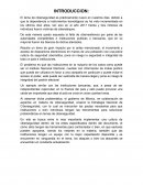 Ciberseguridad. LOS RIESGOS CIBERNETICOS