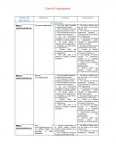 Tipos de organigramas. Por Naturaleza