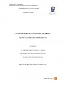 ENSAYO COLABORATIVO “CASO KAREN ATALA RIFFO”