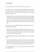 Actividades[pic 1] Trabajo: Sistema de Detección de Intrusos (IDS). Snort