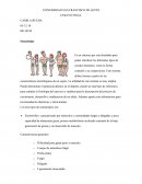 Los tres tipos de somatotipos