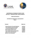 Interacciones fisica de RX