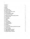 Proyecciones cartograficas. La orientación de los mapas