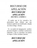 Apelación Electoral