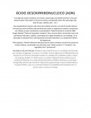 Ácido desoxirribonucleico (ADN) Gregor Mendel