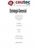 La generalidad de la estrategia gerencial