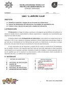 CONOCE TU LABORATORIO ESCOLAR