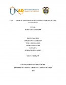 APROPIAR LOS CONCEPTOS DE LA UNIDAD N°1 FUNDAMENTOS ECONOMICOS