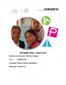 Asesor pedagogico itinerante