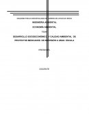 DESARROLLO SOCIOECONÓMICO Y CALIDAD AMBIENTAL DE PROYECTOS MEXICANOS DE INVERSIÓN A GRAN ESCALA