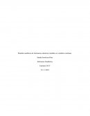 Modelos analíticos de fenómenos aleatorios medidos en variables continuas