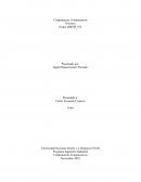 Discurso Competencias Comunicativas