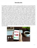 Influencia de Streaming en la industria musical y cinematográfica