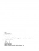 MARKETING ECOLOGISMO