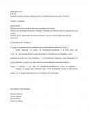 OBSERVACIÓN DE BACTERIAS (CÉLULAS PROCARIOTAS) DEL YOGURT