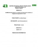 Elaborar un sistema de información mediante un lenguaje de programación visual