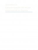 CARACTERIZACION TEJIDO EMPRESARIAL EN ESPAÑA