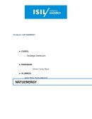 MARKETING DIGITAL NATUENERGY