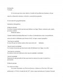 Demografia del Perú 2007/2017