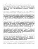 Image Processing and Machine Learning Bio-Applications Essay