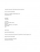 INFORME “PINTURA”