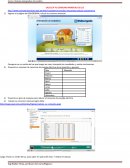 CALCULA TU CONSUMO MENSUAL DE LUZ