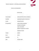 MK DE NEGOCIO jugos Lago’s