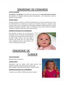 Síndromes genéticos, tipos de patologías