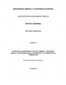 EVIDENCIA DEL APRENDIZAJE: POLÍTICA CRIMINAL Y SEGURIDAD PÚBLICA: ESTRATEGIAS PARA LA PREVENCIÓN Y EL COMBATE DE LA CRIMINALIDAD