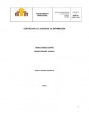 ANALISIS EMPRESA Reina de los ángeles