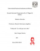 TRABAJO DERECHO BISUETT Obra "Lo que la vida nos robo"