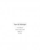 Tipos de liderazgos . Liderazgo y trabajo en equipo