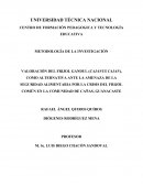 VALORACIÓN DEL FRIJOL GANDUL (CAJANUS CAJAN), COMO ALTERNATIVA ANTE LA AMENAZA DE LA SEGURIDAD ALIMENTARIA POR LA CRISIS DEL FRIJOL